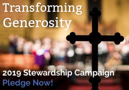 Stewardship 2019