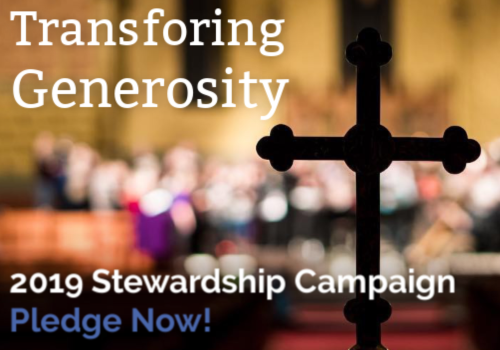 Stewardship 2019